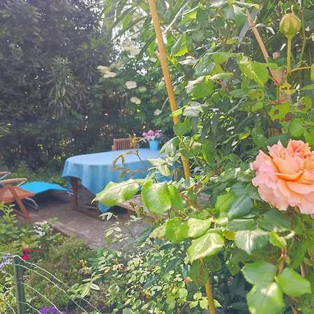 Apartma Belin With Garden And Private Parking *