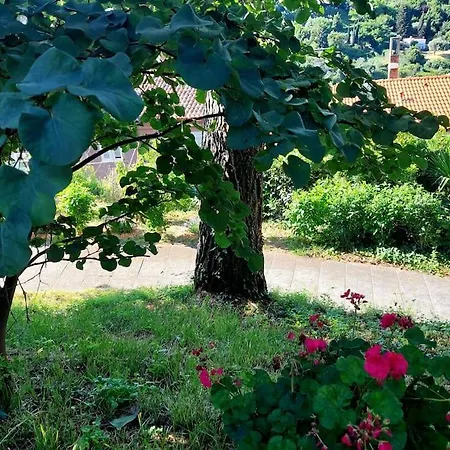 Apartamento Apartma Belin With Garden And Private Parking *