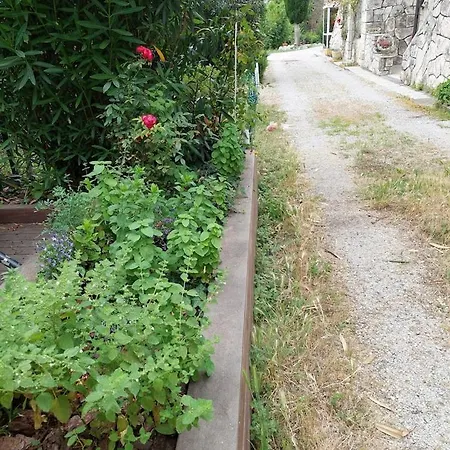 Apartma Belin With Garden And Private Parking * بيران