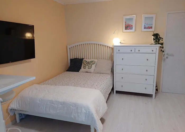 Apartma Belin With Garden And Private Parking * 皮兰