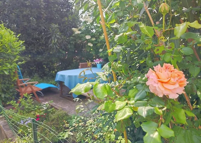 Apartma Belin With Garden And Private Parking *