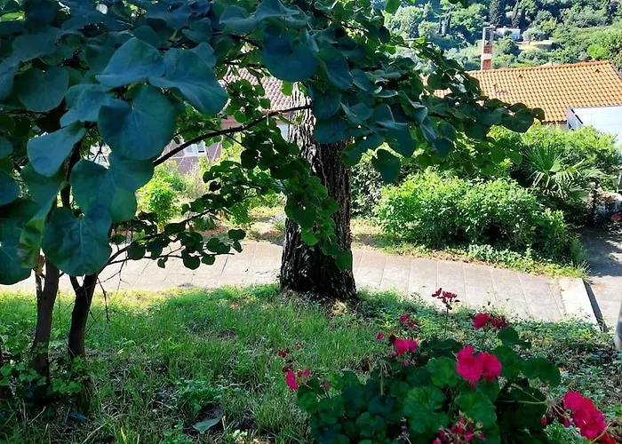 Apartamento Apartma Belin With Garden And Private Parking *