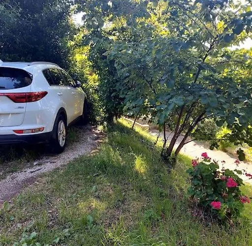 Apartma Belin With Garden And Private Parking *