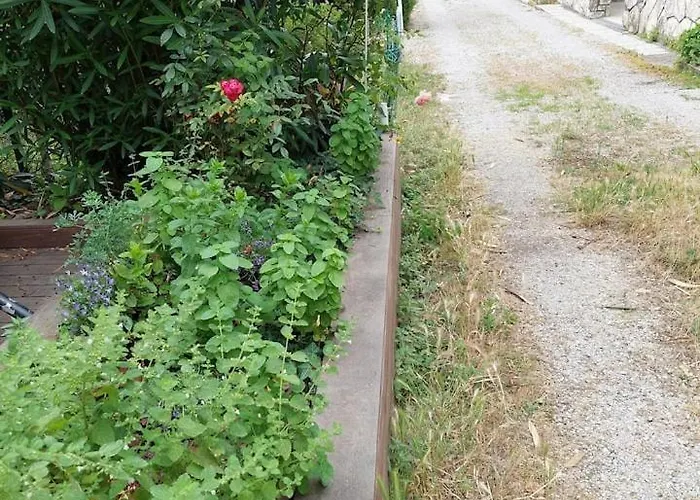 Apartma Belin With Garden And Private Parking * 皮兰